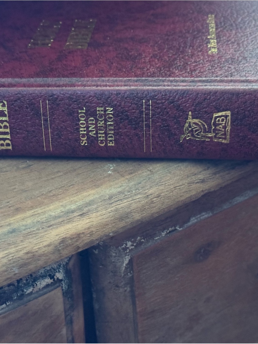 Holy Bible - The New American Bible - Picture 5 of 11